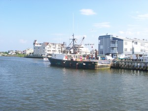 While we were there, this boat came in and the deckhands all dove off the stern.