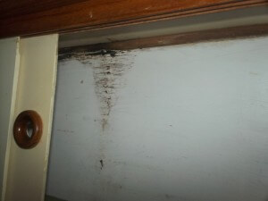 Water damage in galley lockers