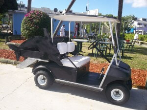 FV dolphin golf cart