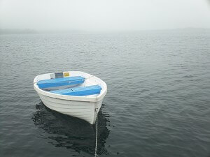Wed Morning fog Dingy
