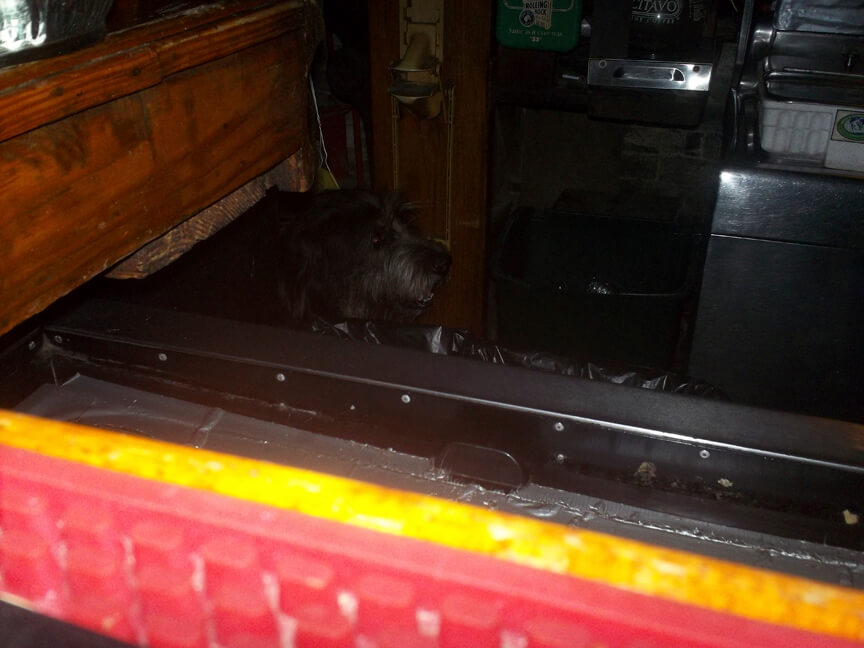 Pooch sneaking underneath the bar to get a bone