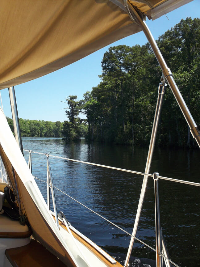 Typical scenery along the Waccamaw River