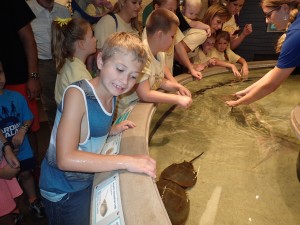 Our nephew at one of the hands-on exhibits at the National Aquarium