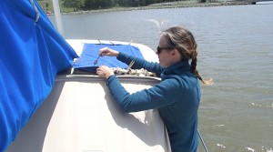 Margaret affixing a towel to the panel to block production while we hook it up.