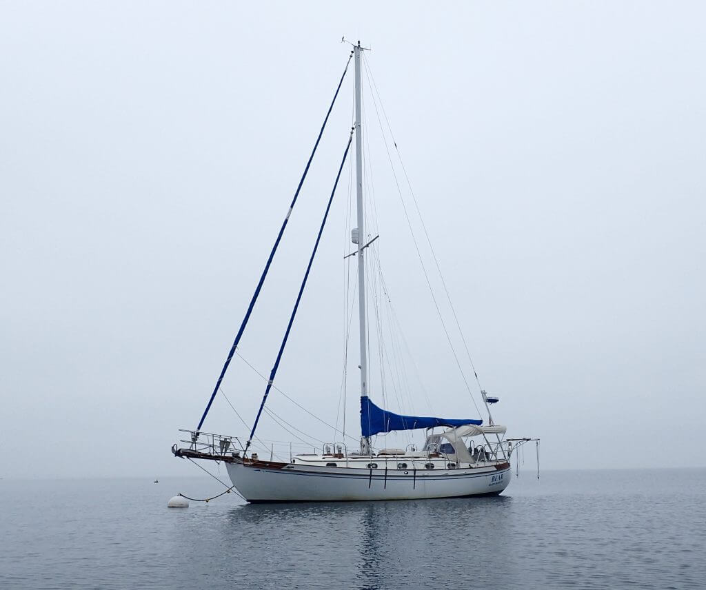 Bear on a mooring in Rockland, Maine