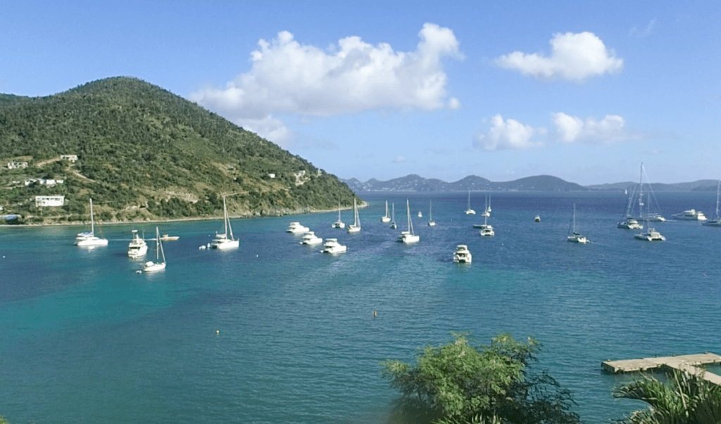 Bear in the middle of the mooring field at Great Harbour on Jost Van Dyke