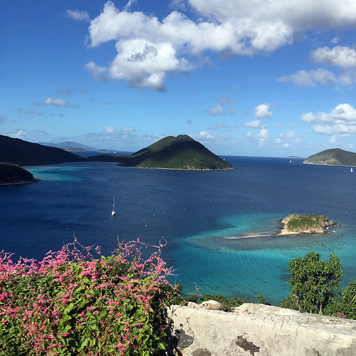 A solo white sailboat sits in an anchorage with a small island on the right with torquoise and blue waters. In the foreground, pink flowers grow up over a concrete wall that are part of the ruins of Murphy House on St John Island, USVI. Blue sky and white puffy clouds fill the sky.