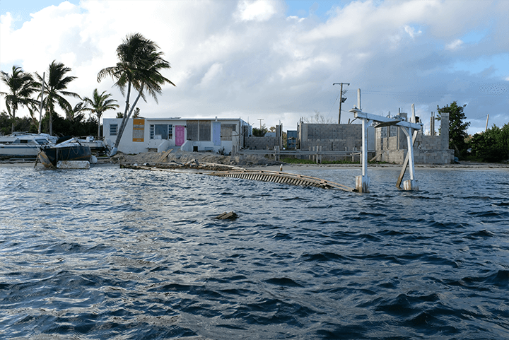 a broken dock and damaged building with new cinder block walls going up and a palm tree