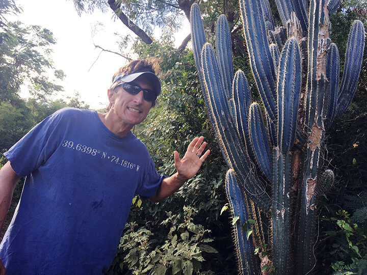 Man in blue shirt, sunglasses, and blue visor cap on left side of screen waves next to a large, multi-limbed cactus.